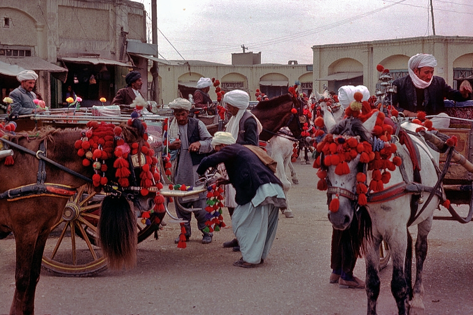 Horse coaches used as taxis