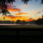 Horse country sunrise