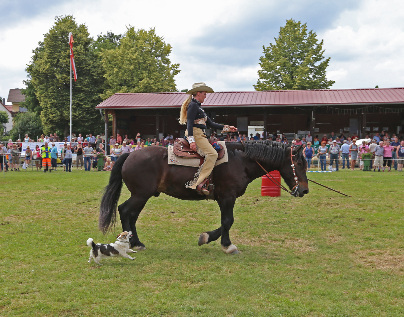 Horse & Dog Trail  -1-