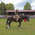 Horse & Dog Trail  -1-