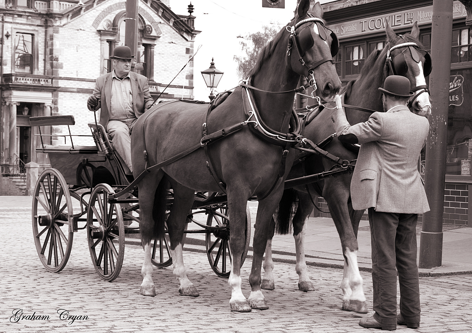 Horse drawn trap at beamish