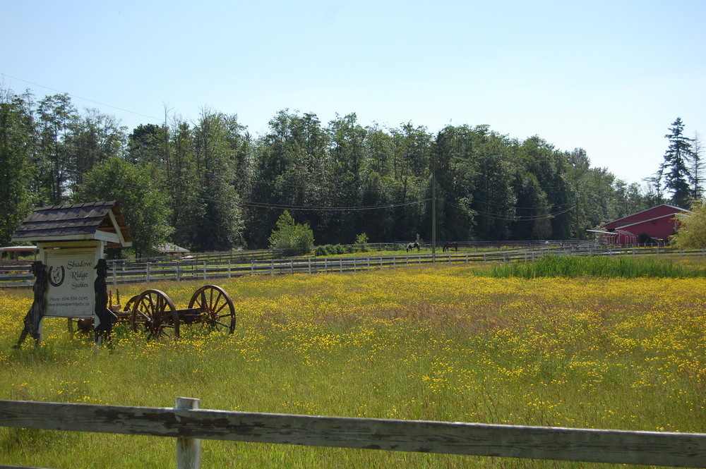 Horse farm