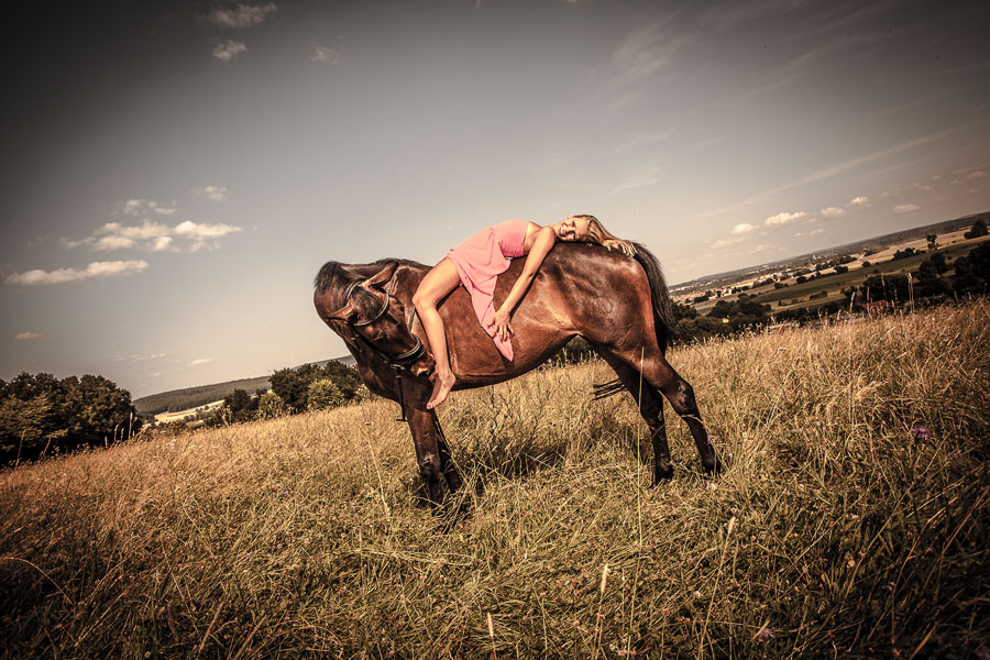 - horse fashion -