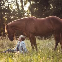 Horse Feelings Photography