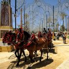 Horse Festival in Jerez / Andalusien