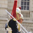 Horse Guard