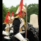 Horse-Guard