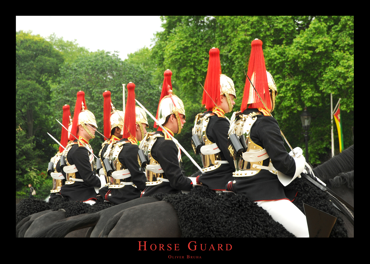 Horse Guard