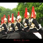 Horse Guard