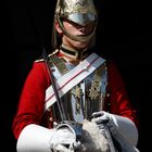 Horse Guard, The Queen's life guard