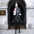 Horse Guards