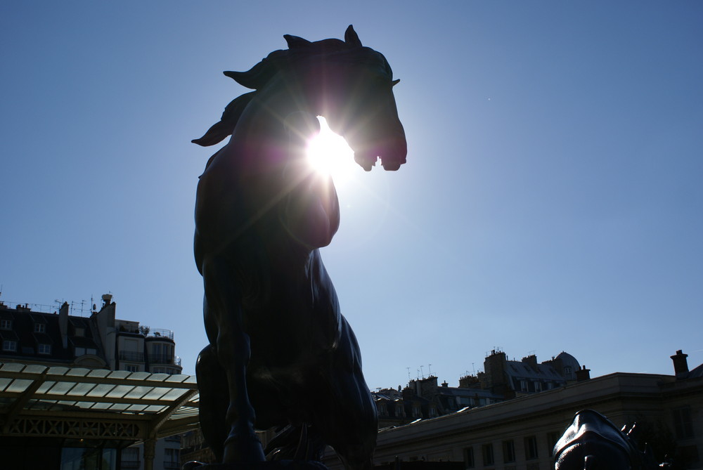 Horse in Orsay