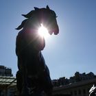 Horse in Orsay