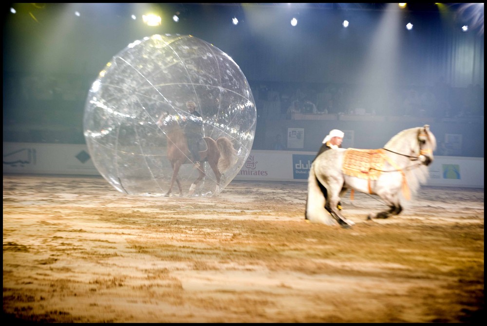 Horse in the Bubble