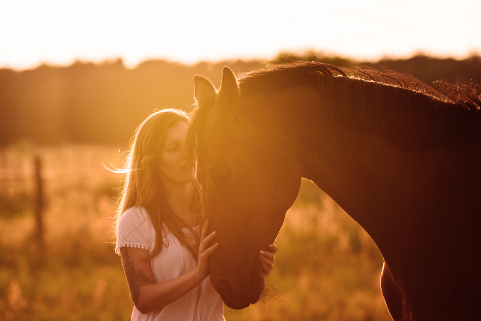 Horse Love