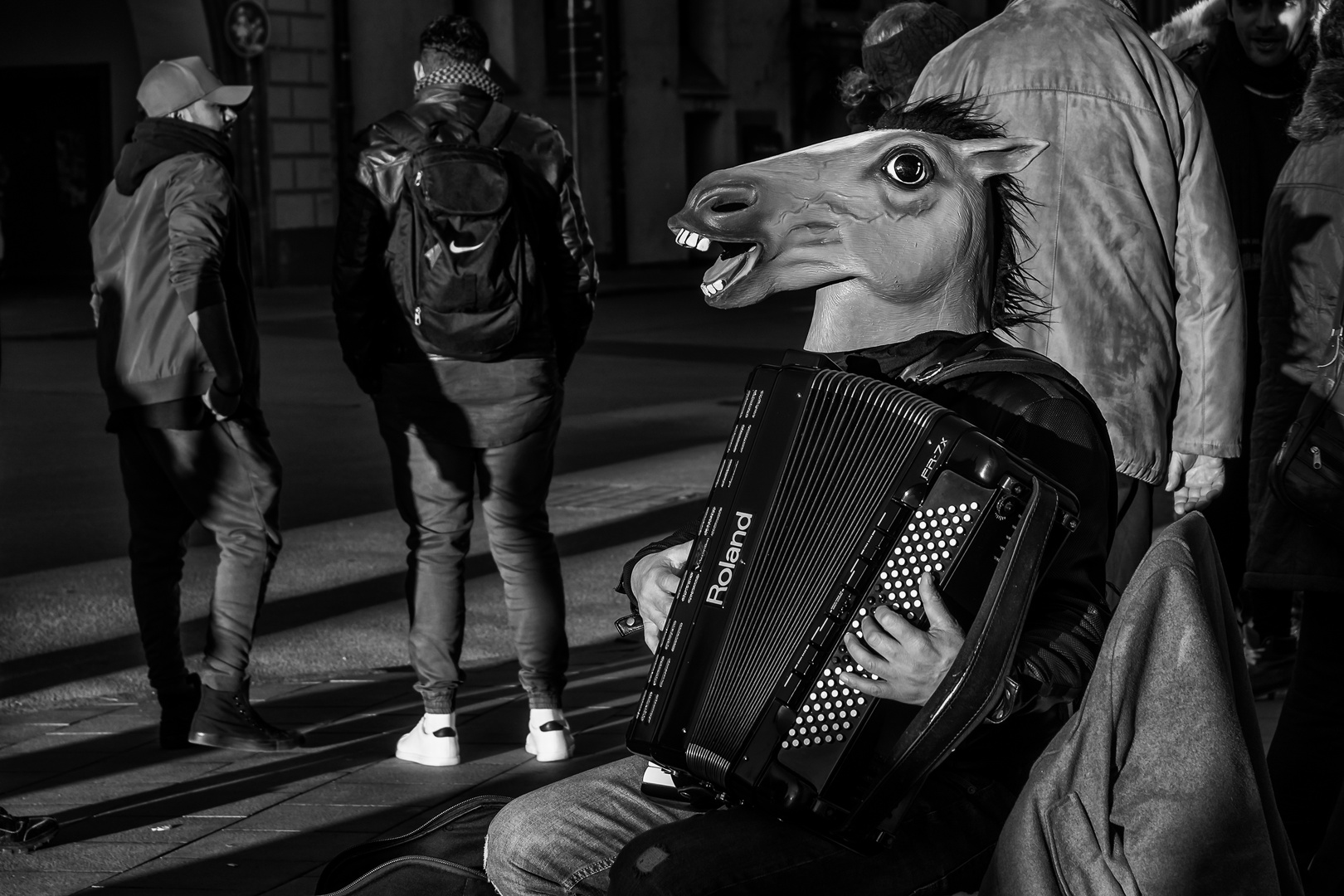 Horse Musician