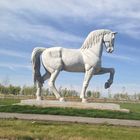 Horse near by Astana