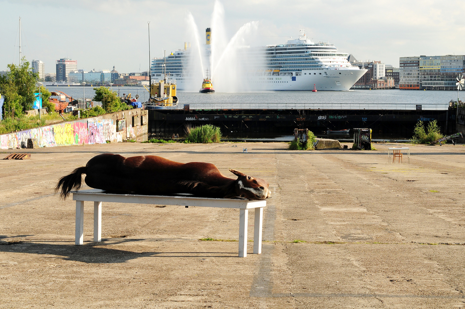 horse on table