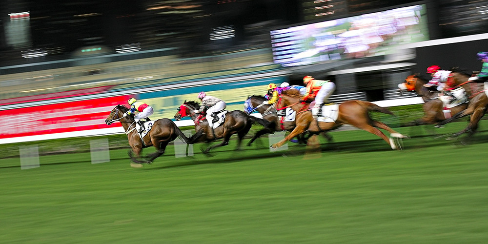 Horse Race, Happy Valley