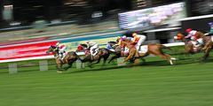 Horse Race, Happy Valley