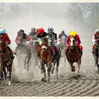 Horse racing