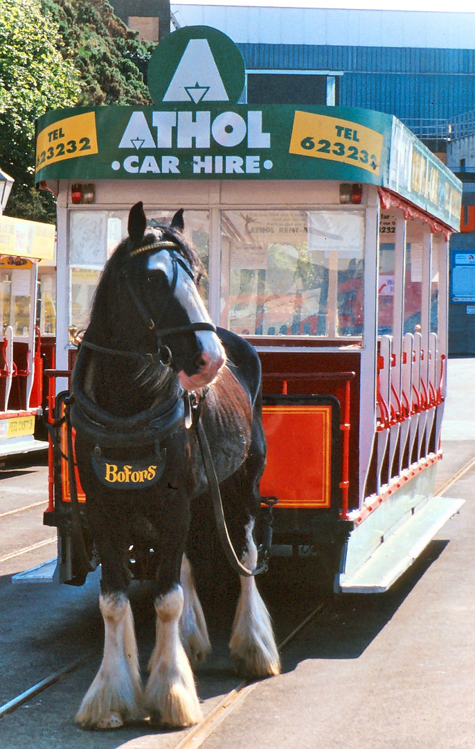 Horse Railway in Douglas (Isle of man)