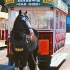 Horse Railway in Douglas (Isle of man)