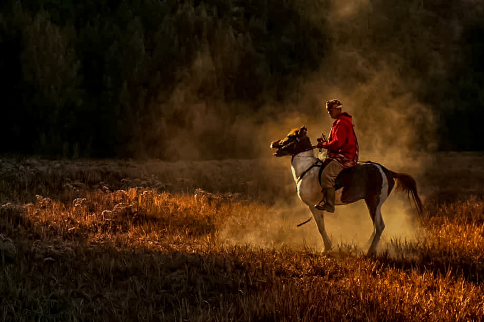 Horse rental jockey at Mount Bromo