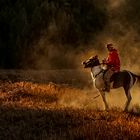 Horse rental jockey at Mount Bromo