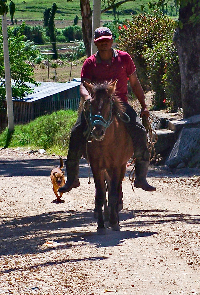 Horse rider