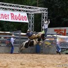 Horse Rodeo