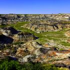 Horse Shoe Canyon (2018)