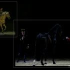 Horse show composition 2