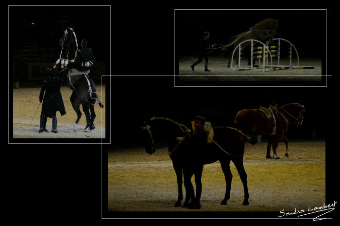 Horse show composition