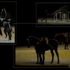 Horse show composition