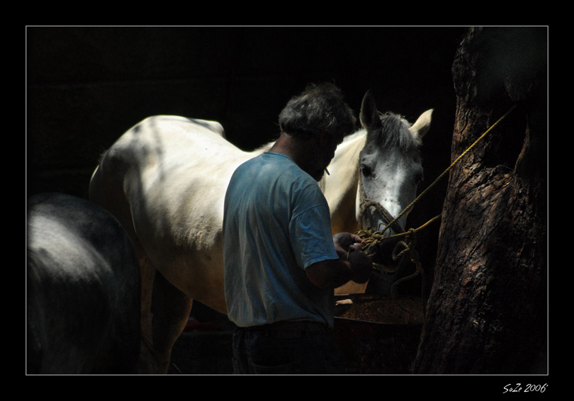 Horse & The Gipsy