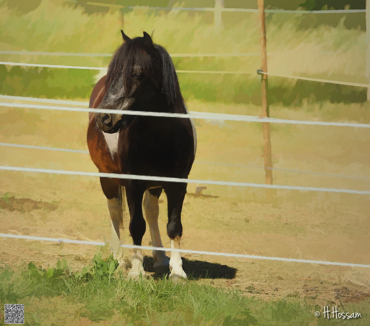 Horse time