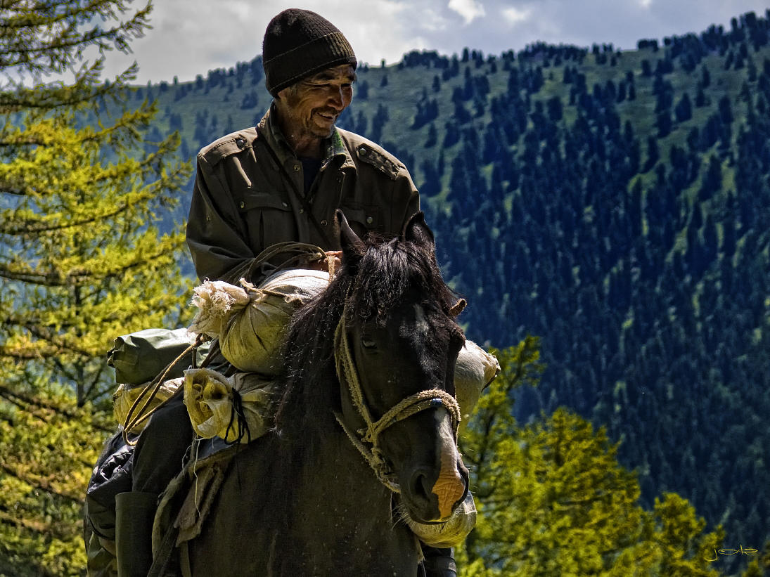 horse trekking