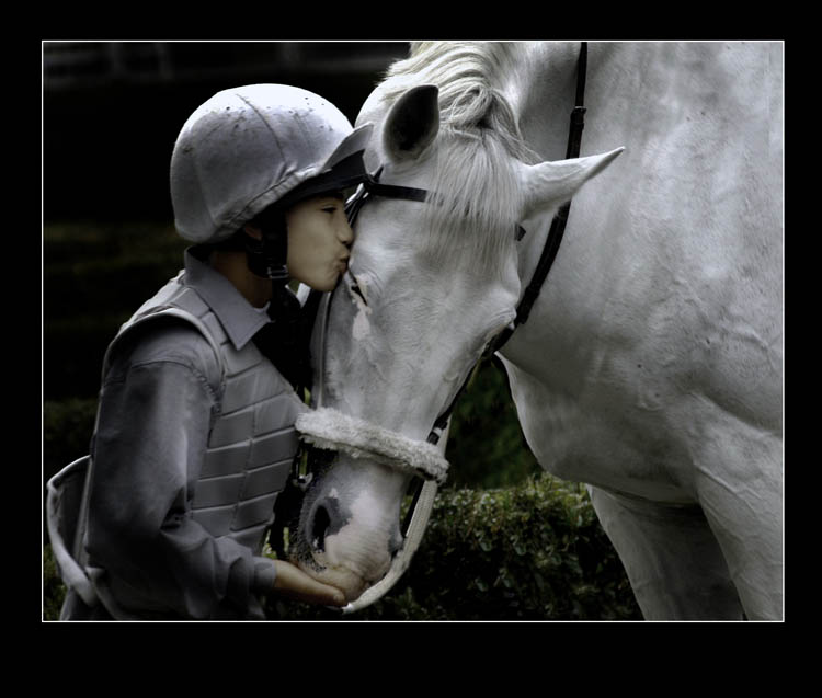 Horse whisperer