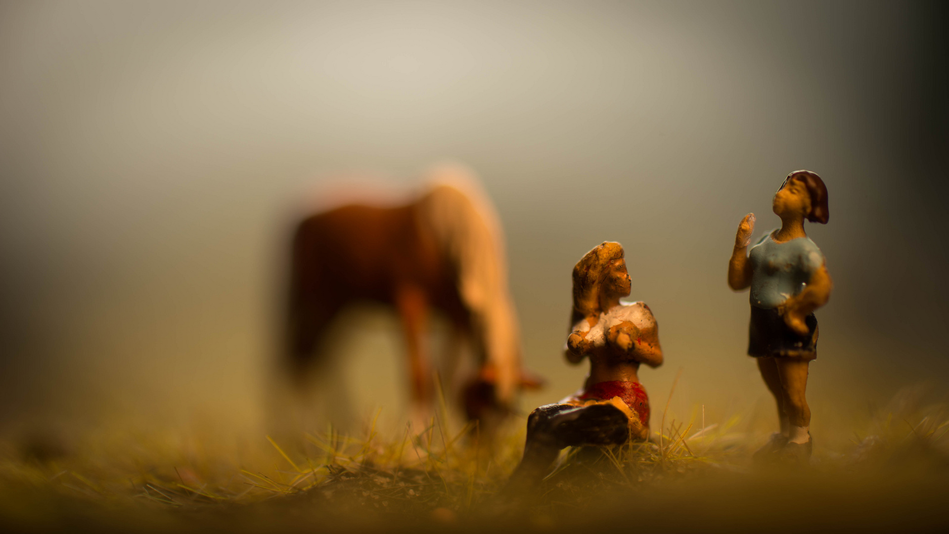 Horse with no Name Foto & Bild stillleben, jahreszeiten, frühling