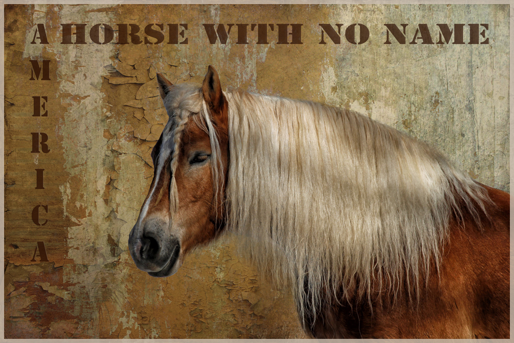 Horse with no name