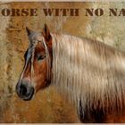 Horse with no name