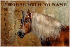 Horse with no name