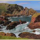 Horsecastle bay near St Abbs 1