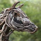 Horsehead - Driftwood