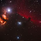 Horsehead-Nebula