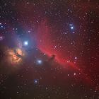 Horsehead Nebula Widefield