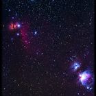 Horsehead + Orion Nebula