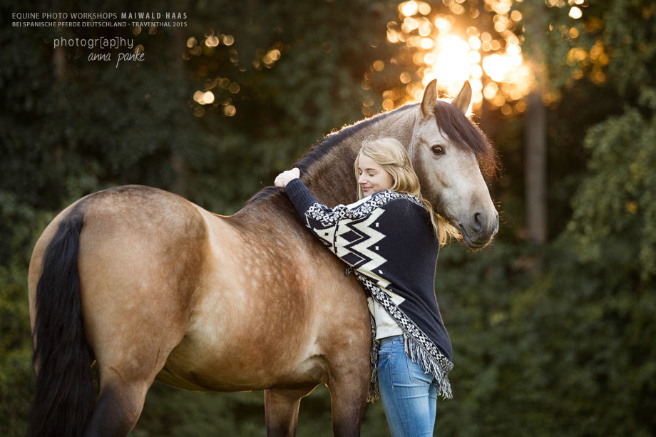 horselove