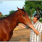 . Horsemanship pure .